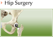 Hip - Daniel F Craviotto Jr MD - Orthopaedic Surgery