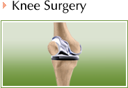 Knee - Daniel F Craviotto Jr MD - Orthopaedic Surgery
